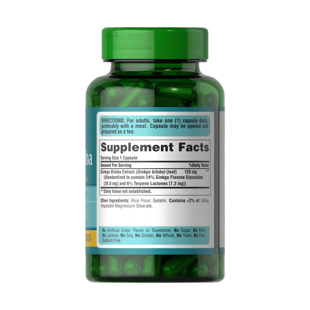Puritans Pride, Ginkgo Biloba 120 mg