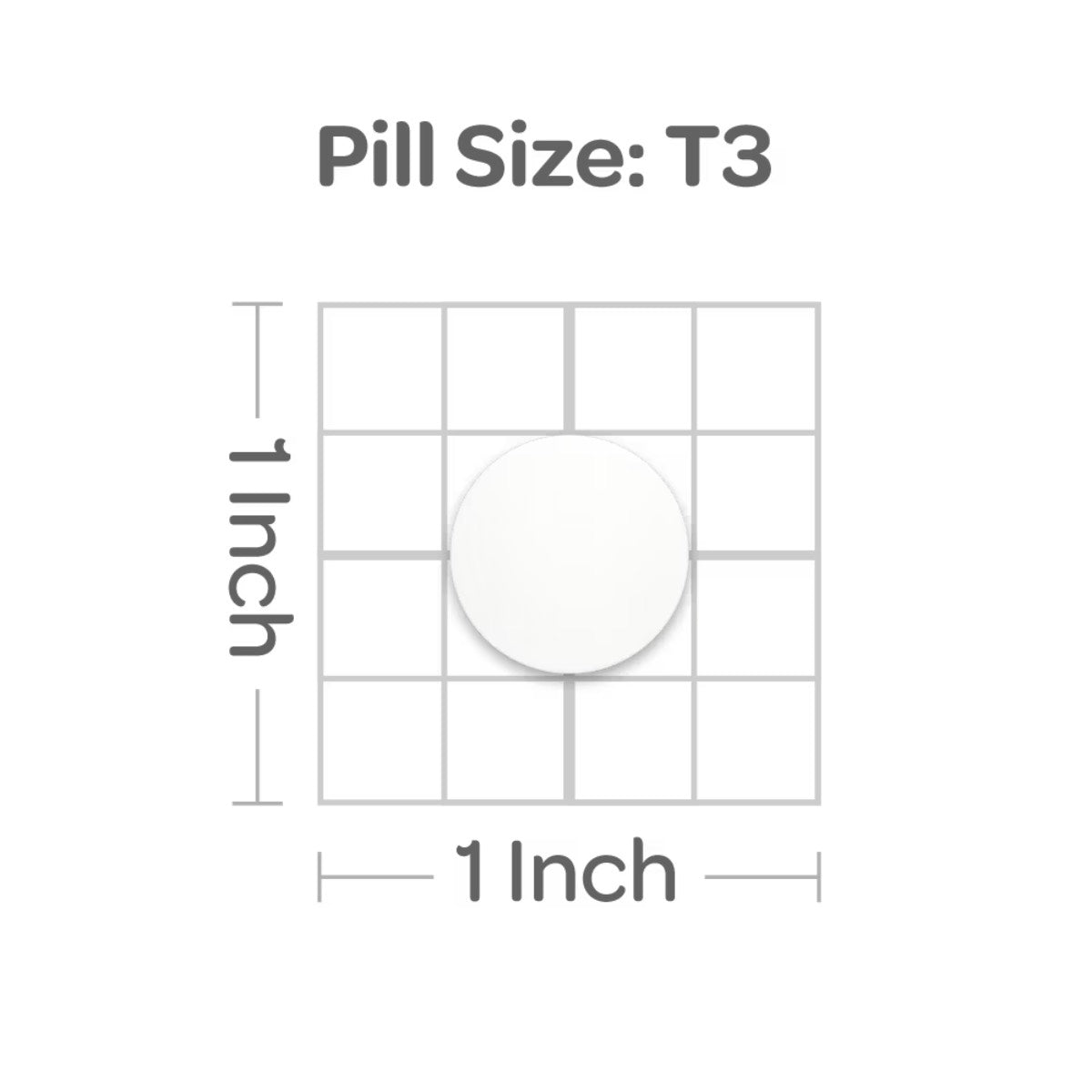 Puritan's Pride, Bromelain 250 mg 300 GDU/gram