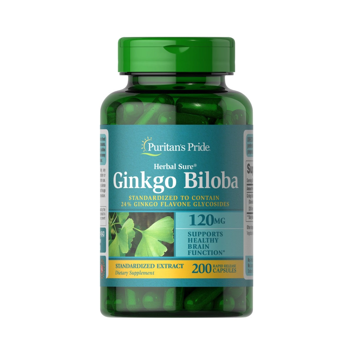 Puritan's Pride, Ginkgo Biloba 120 mg
