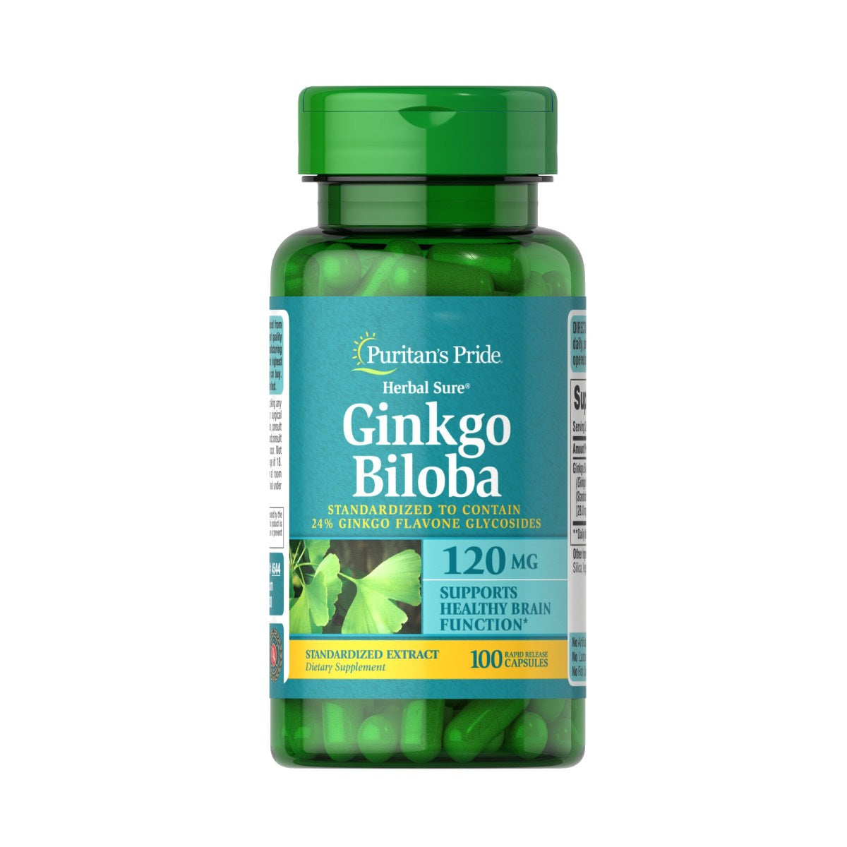 Puritan's Pride, Ginkgo Biloba 120 mg